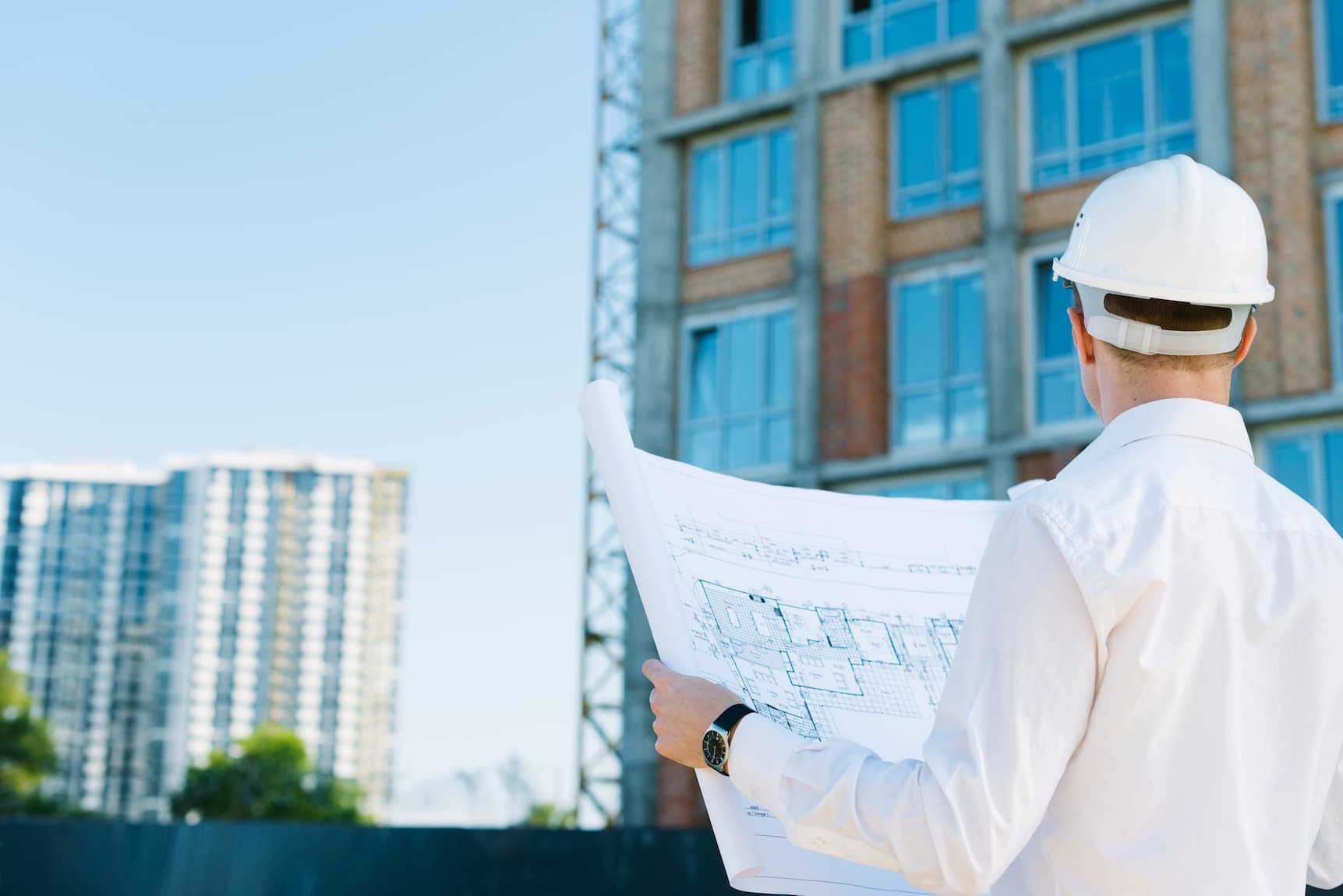 back-view-man-holding-building-plans(1)